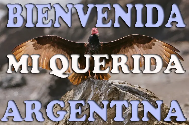 Macri: amoral, corruptela, ajuste, regalar el patrimonio