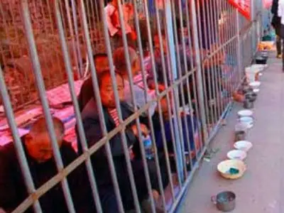 La humanidad se va al carajo y te lo muestro.
