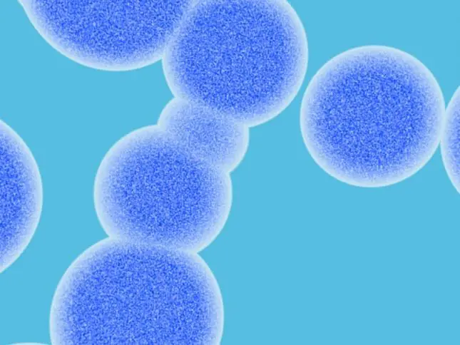 10 curiosidades sobre el cuerpo humano