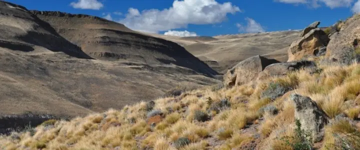 patagonia