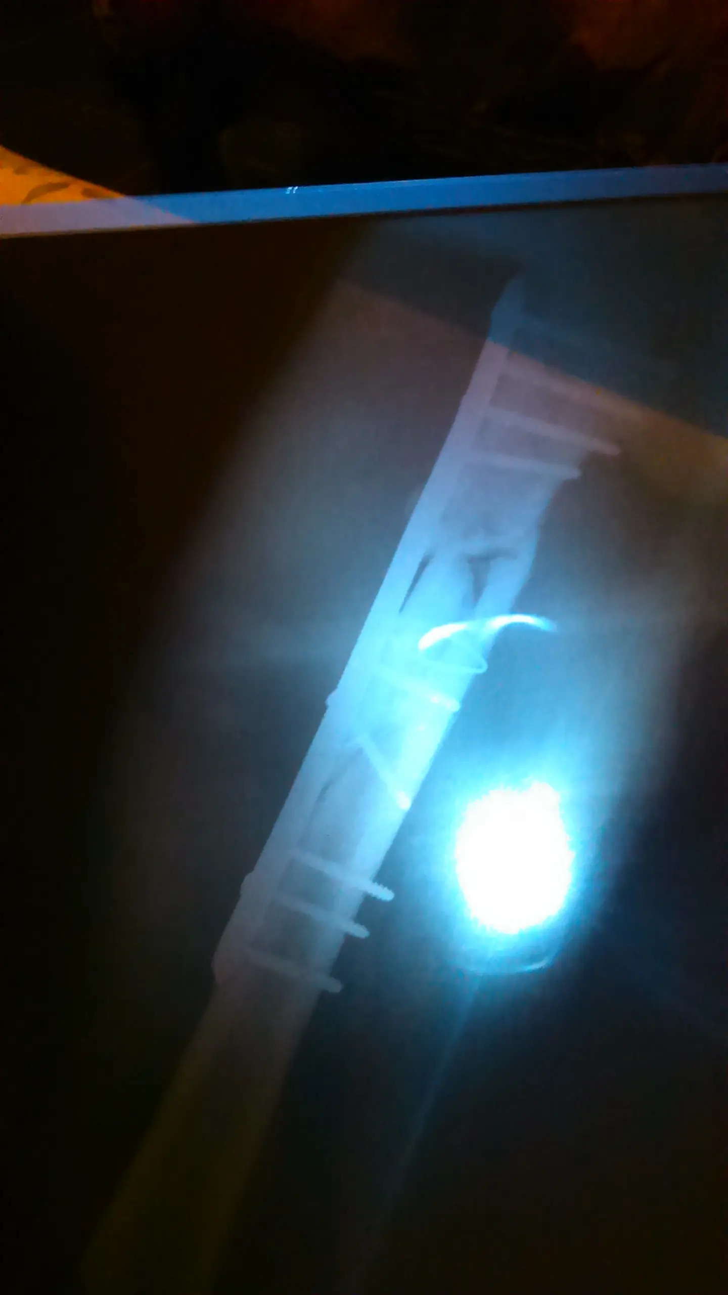 femur fractura