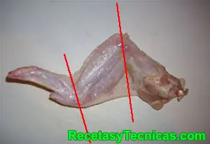 Pollo