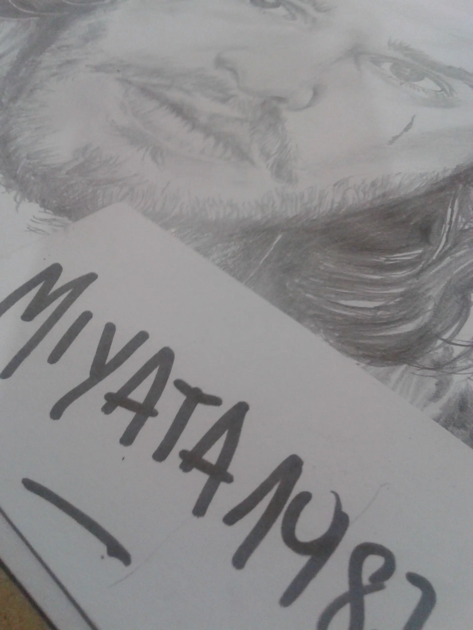 dibujos para usuarios de T