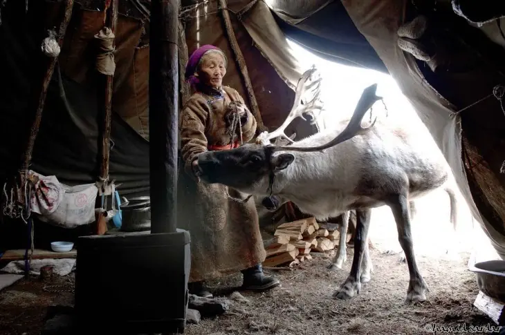 La increíble vida de los mongoles y sus renos en Mongolia