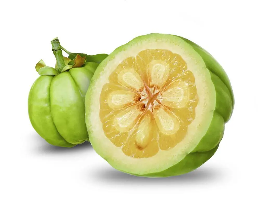 Garcinia cambogia analizada y explicada