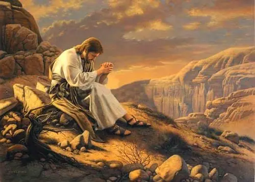 Lince te dejo el Evangelio que te hará rezar...