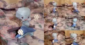 pokemon pokemon