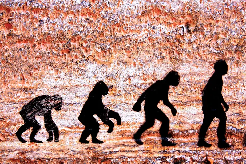 evolucion