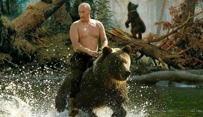 oso oso