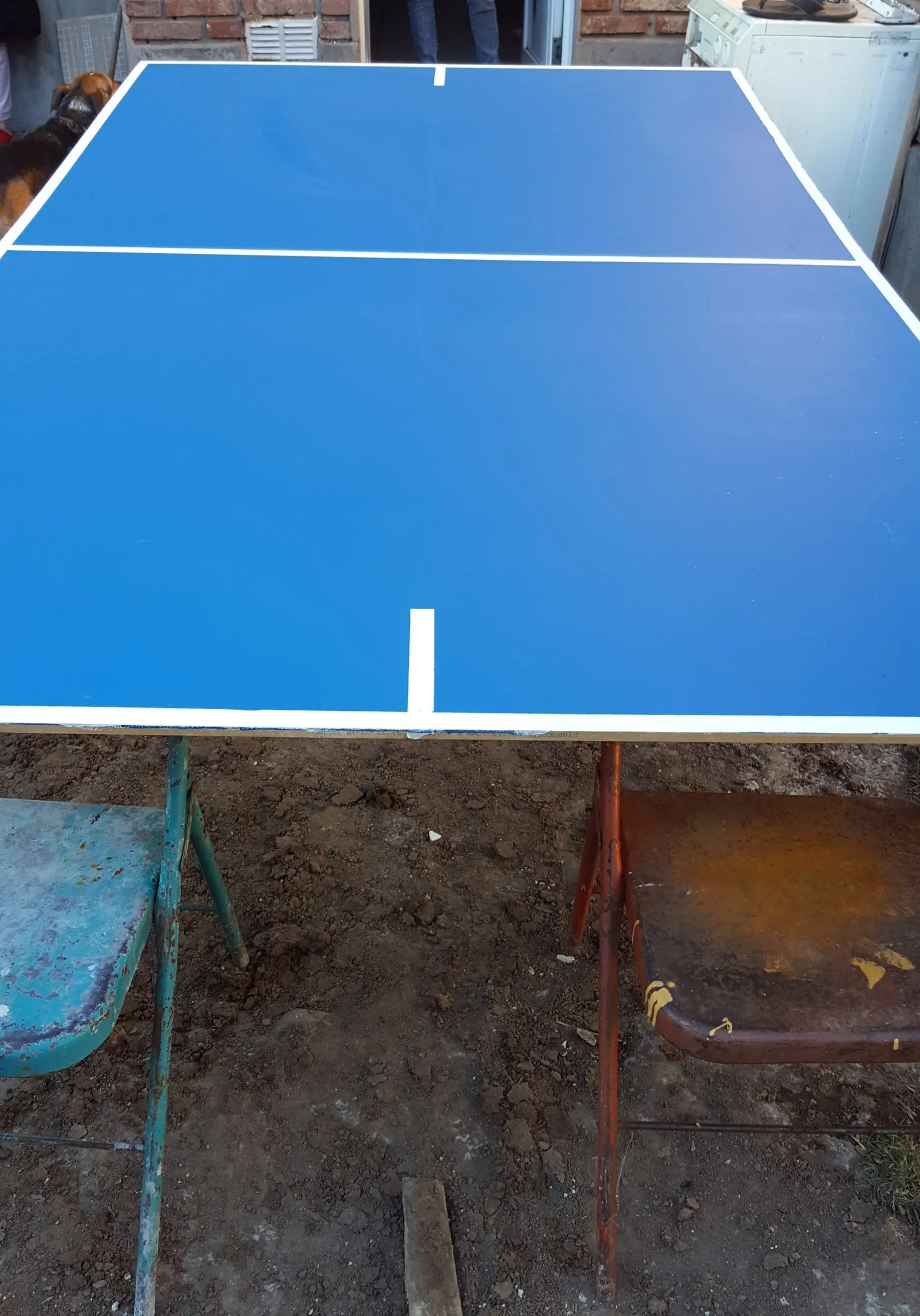 ping pong