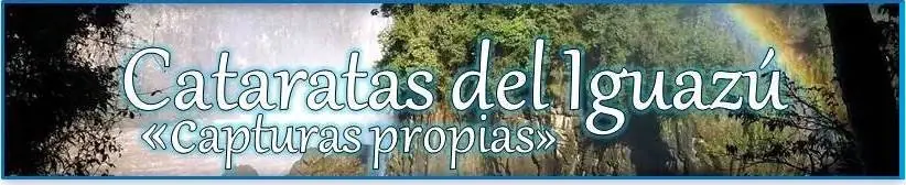 humor humor