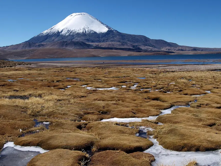 Chile Chile