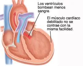 salud