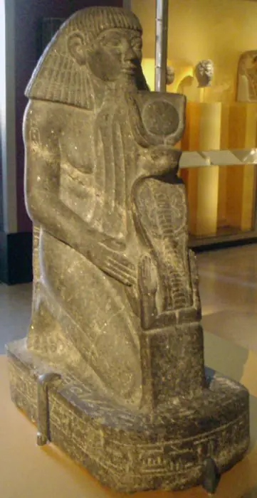 estelares
