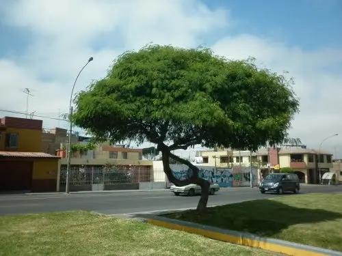 peru
