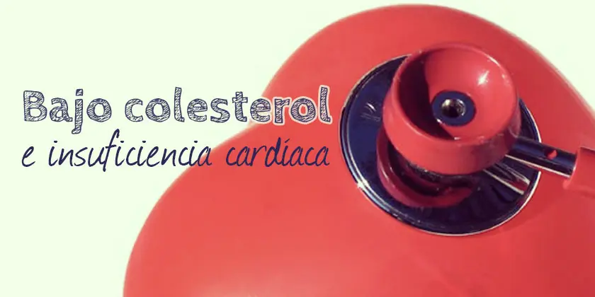 alimentacion