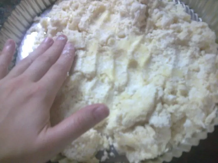 gelatina gelatina