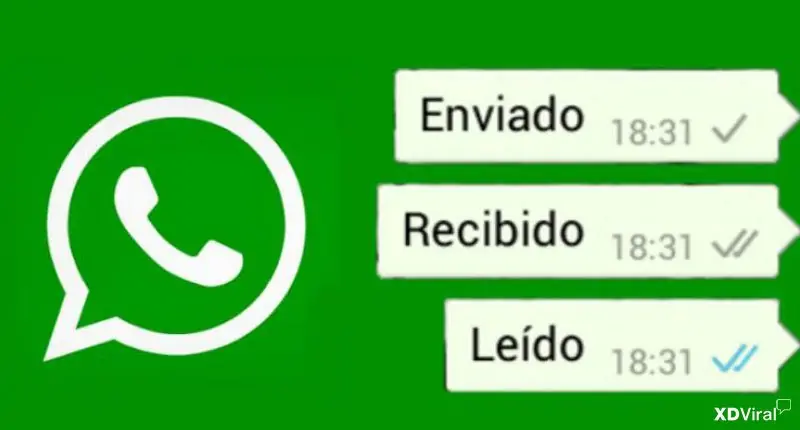 Muy buen Grupo de Whatsapp para Tec. inform. progr. ing. etc