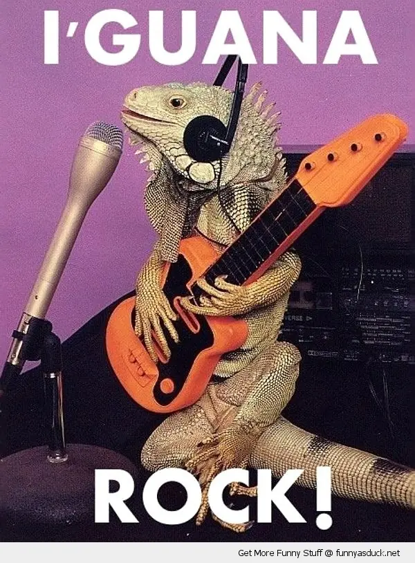 metal