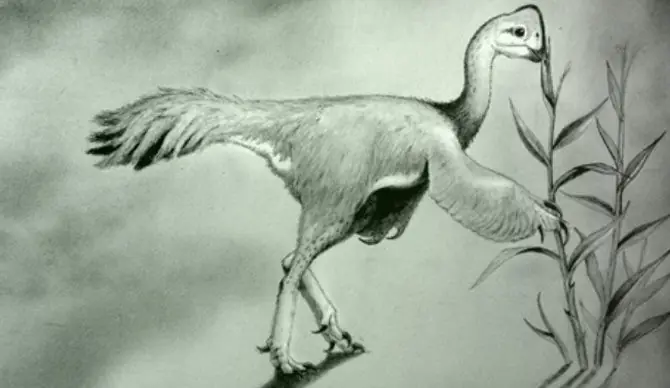 Identifican un dinosaurio herbívoro del tamaño de un pavo