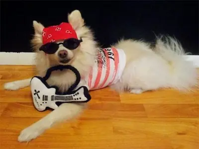 rock