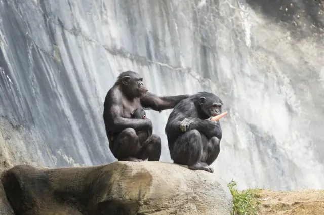 10 cursos científicos que puedes hacer completamente gratis