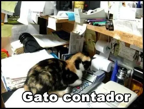 hermosos