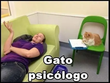Gatos ejerciendo profesiones