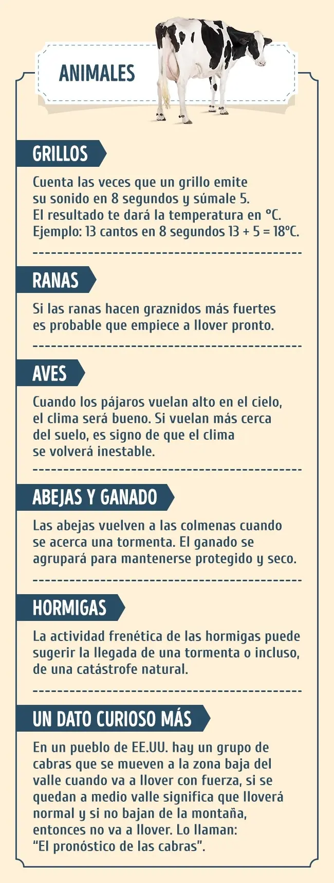 el clima