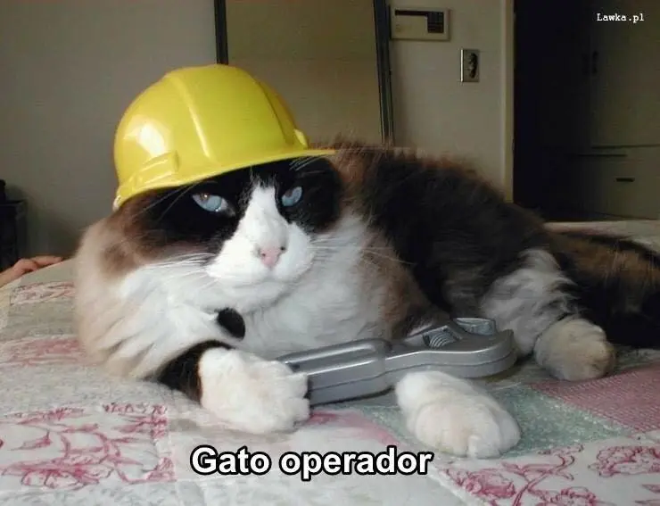 Gatos ejerciendo profesiones
