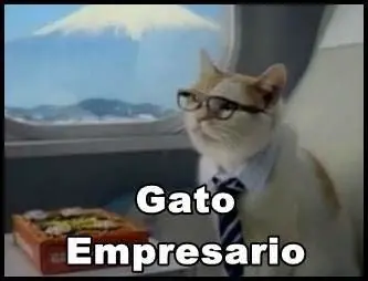 hermosos