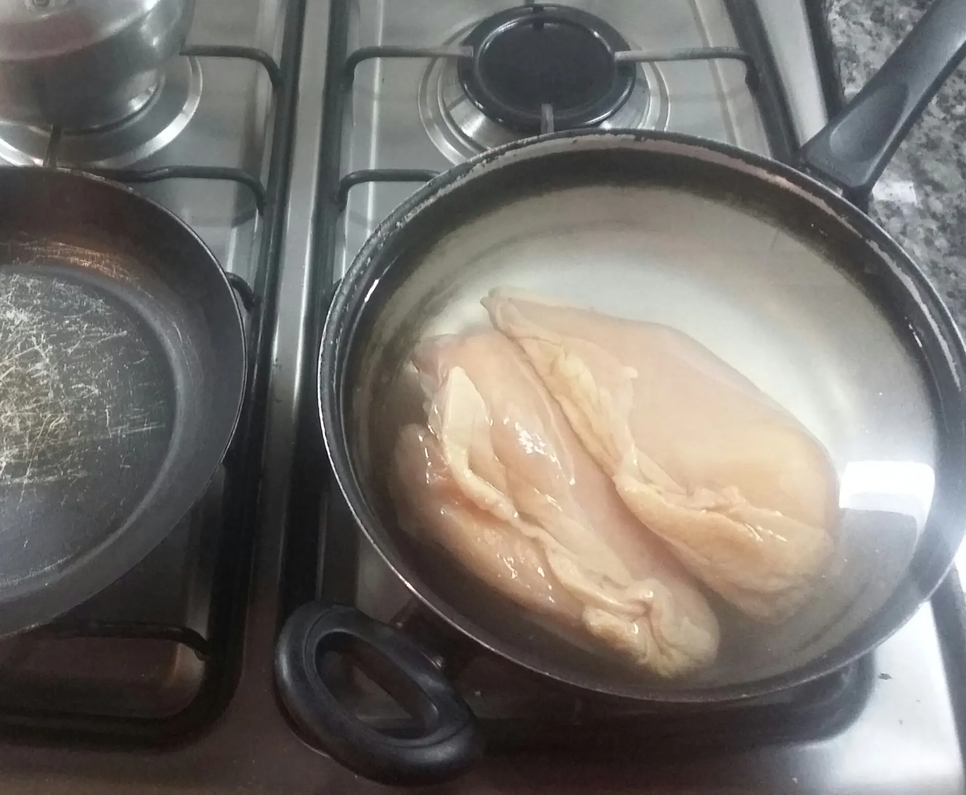 pollo