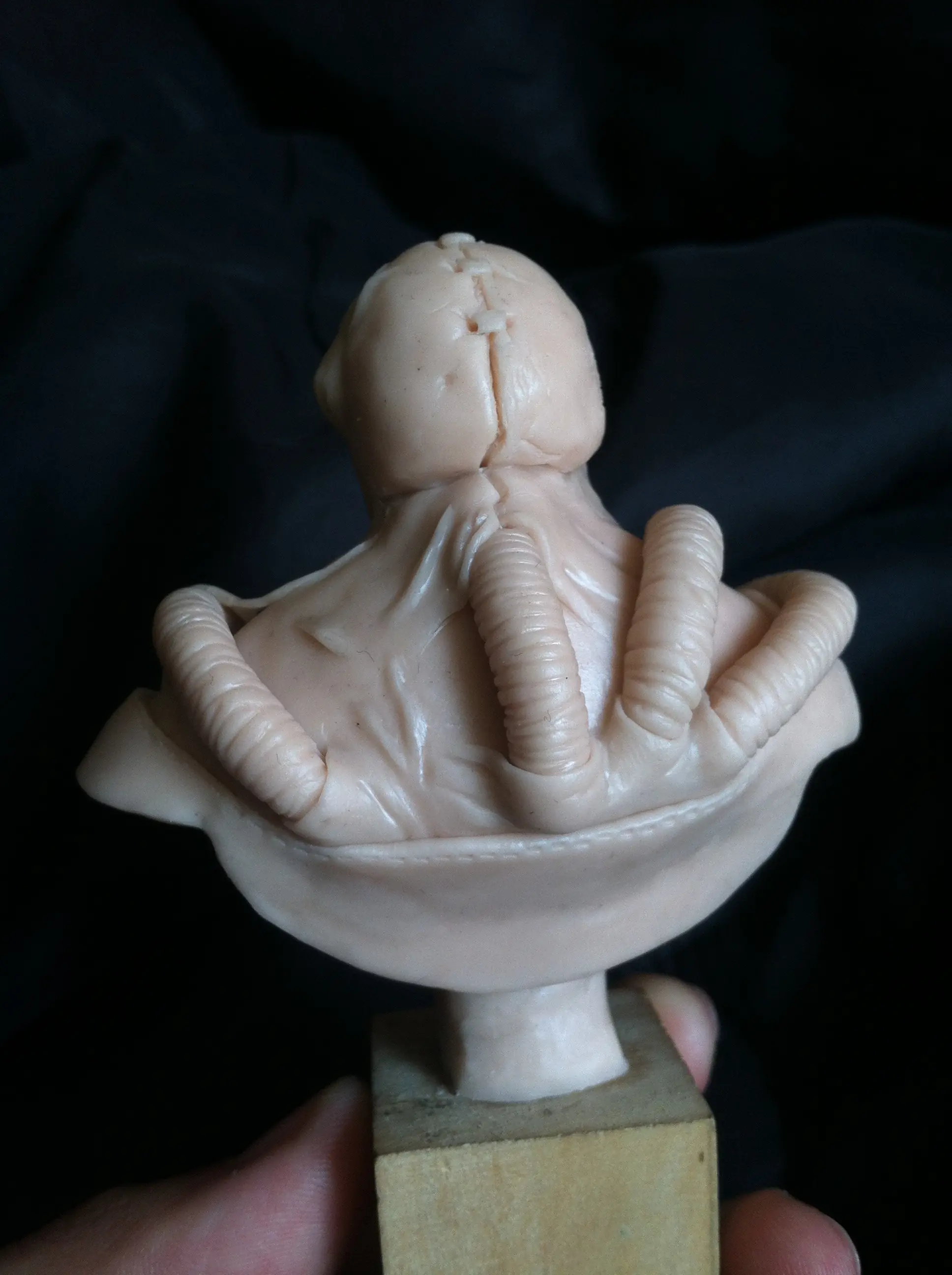 Busto