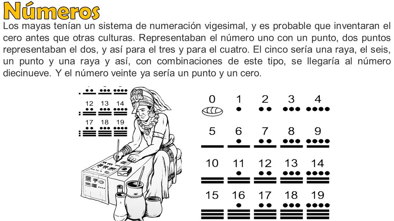 20 Datos Curiosos para Curioseadores curiosos #10