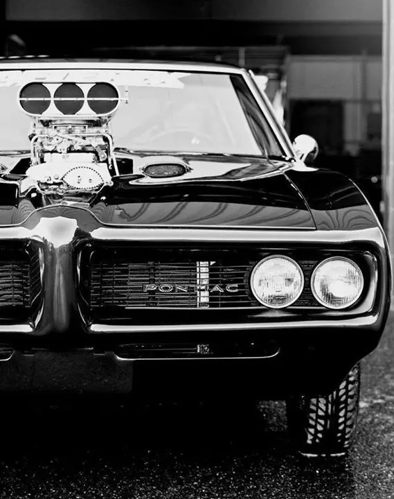 exotics
