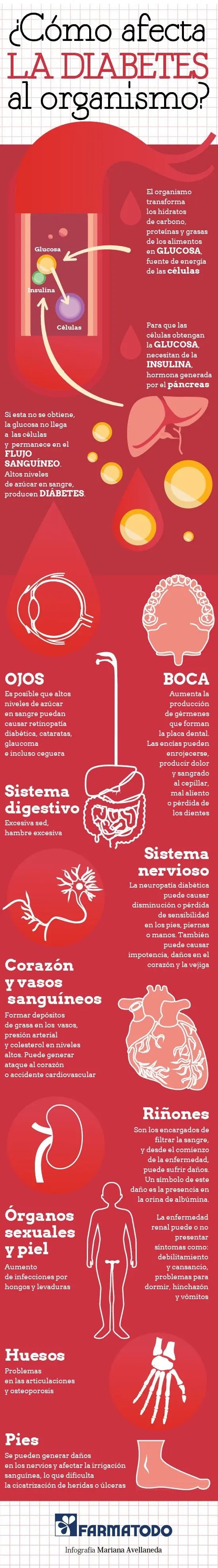 ciencia ciencia