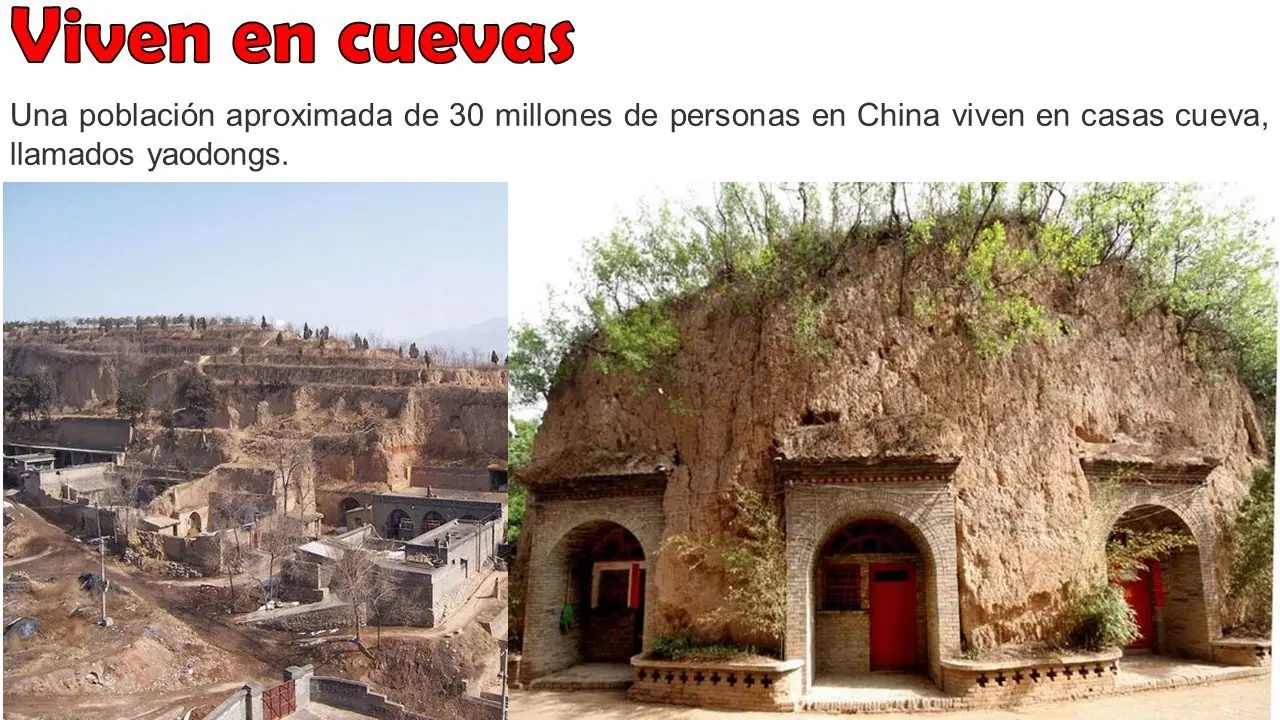 ciencia