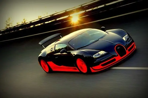 exotics