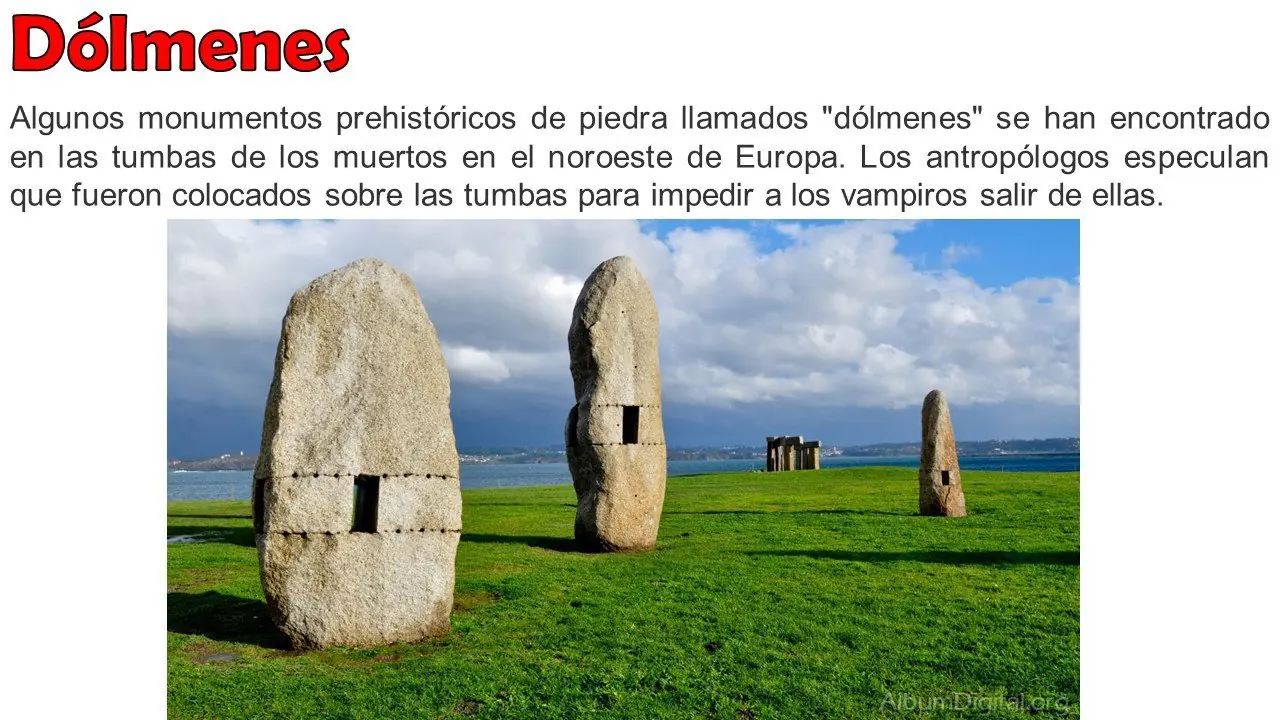 educacion