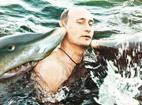 Vladimir Vladimir