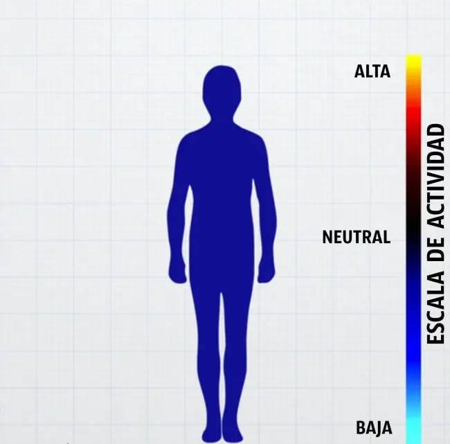 Científicos muestran como lucen nuestras emociones