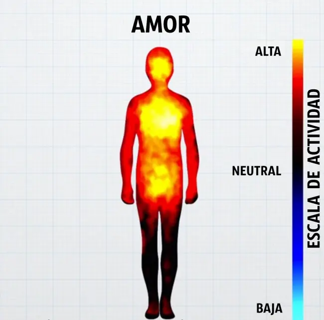 Científicos muestran como lucen nuestras emociones