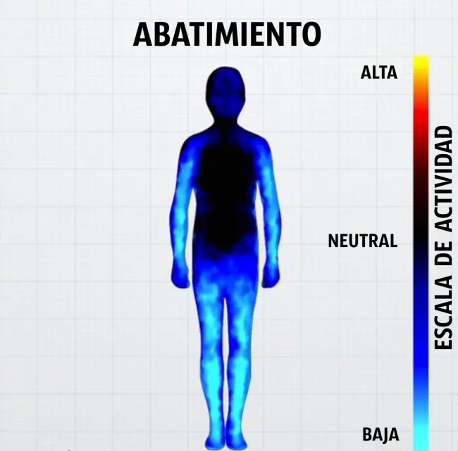 muestran
