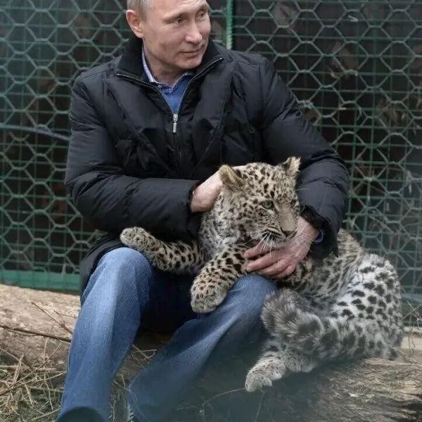 presidente de rusia presidente de rusia