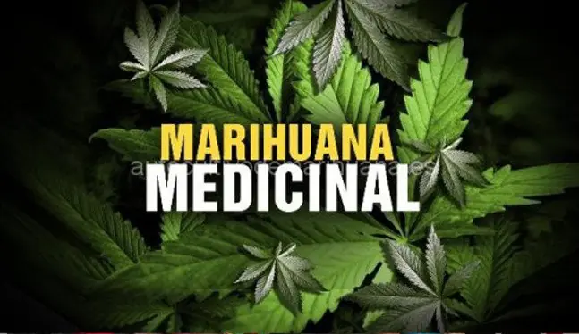 Cordoba Tiene la Primera Clinica Cannabica Del Pais