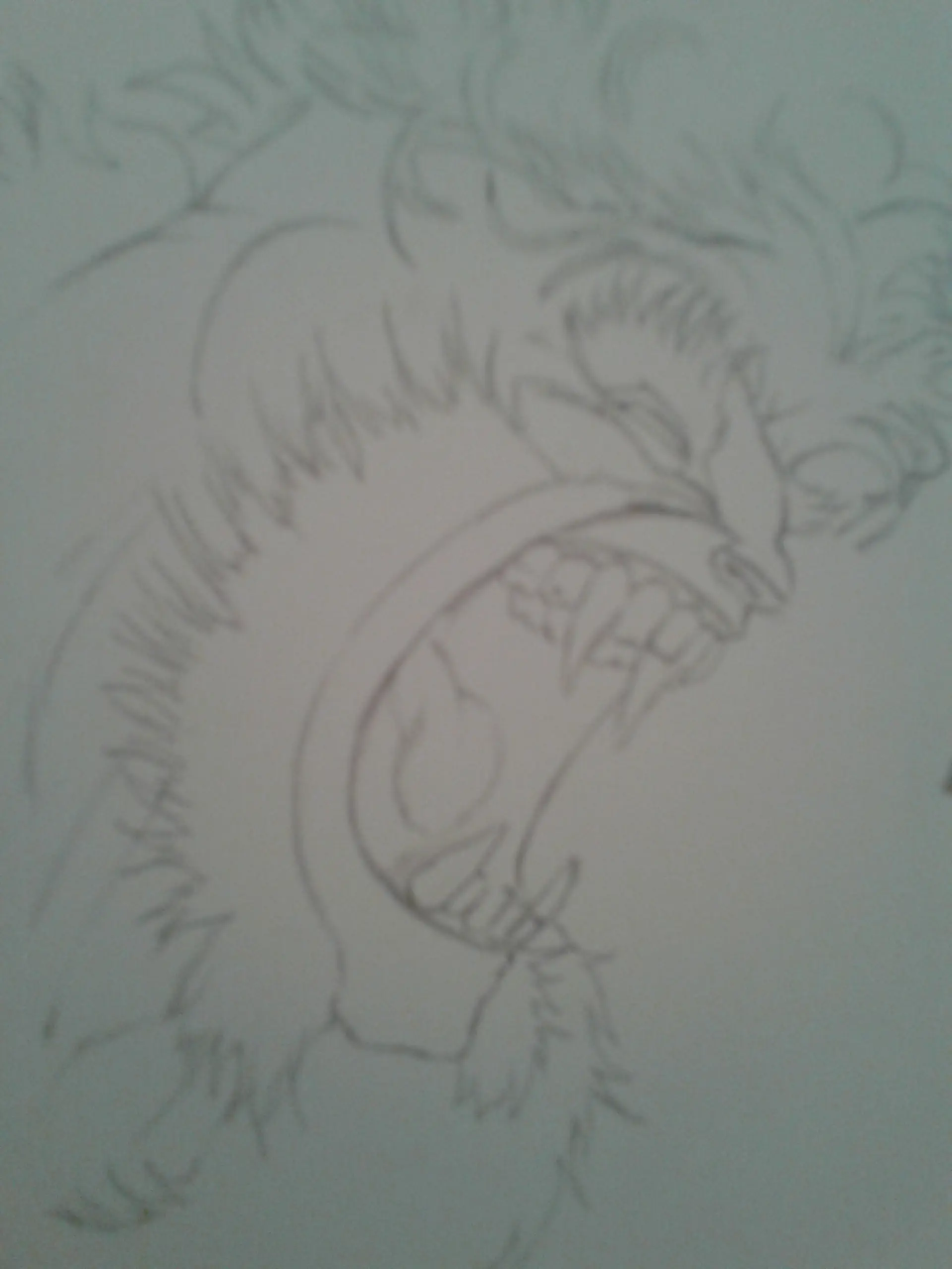 Wolverine