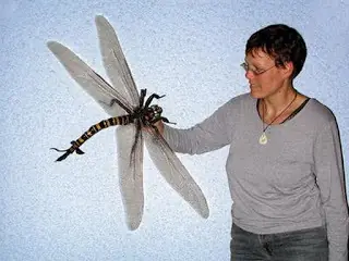 insectos