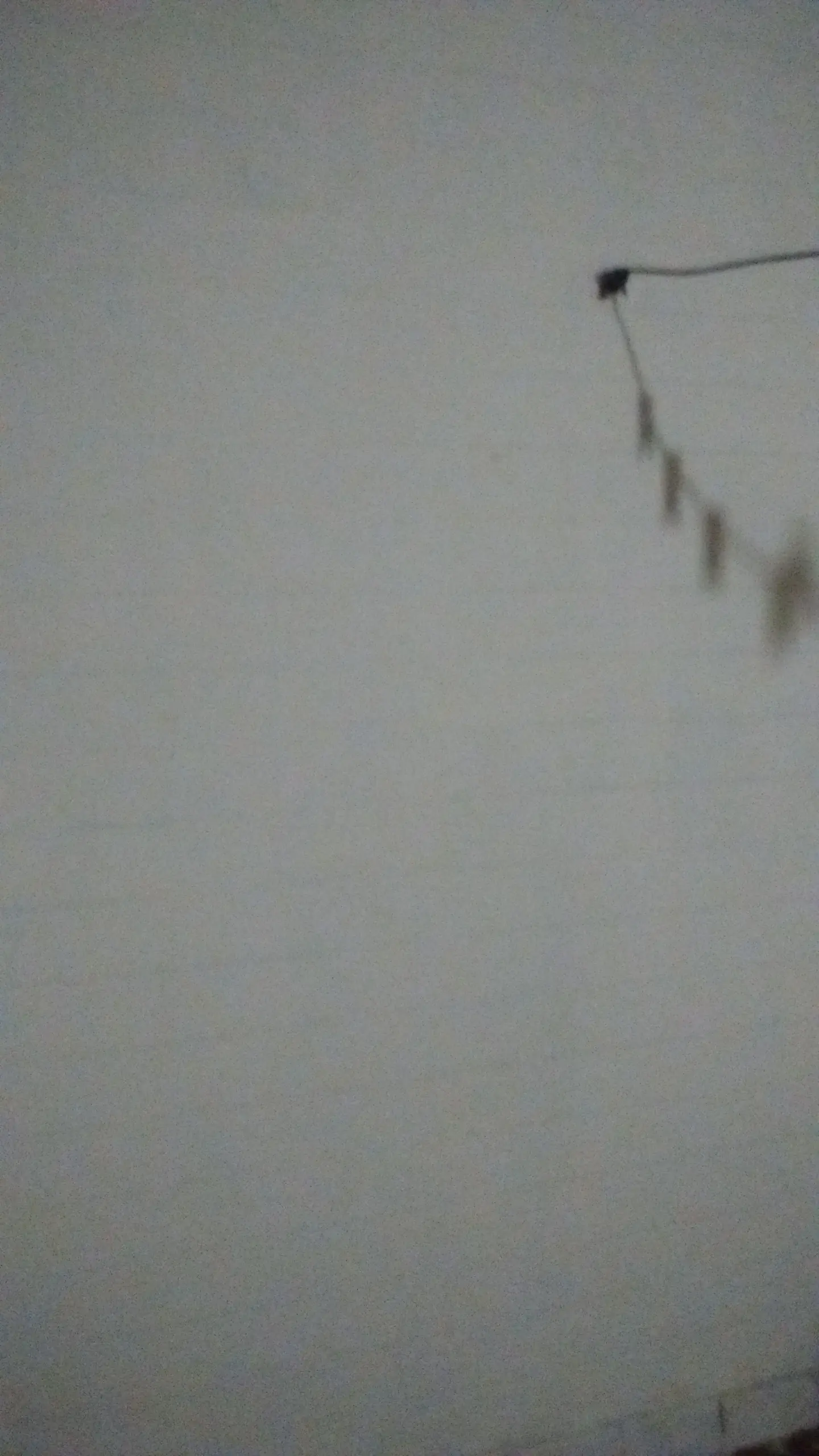 the wall pelicula