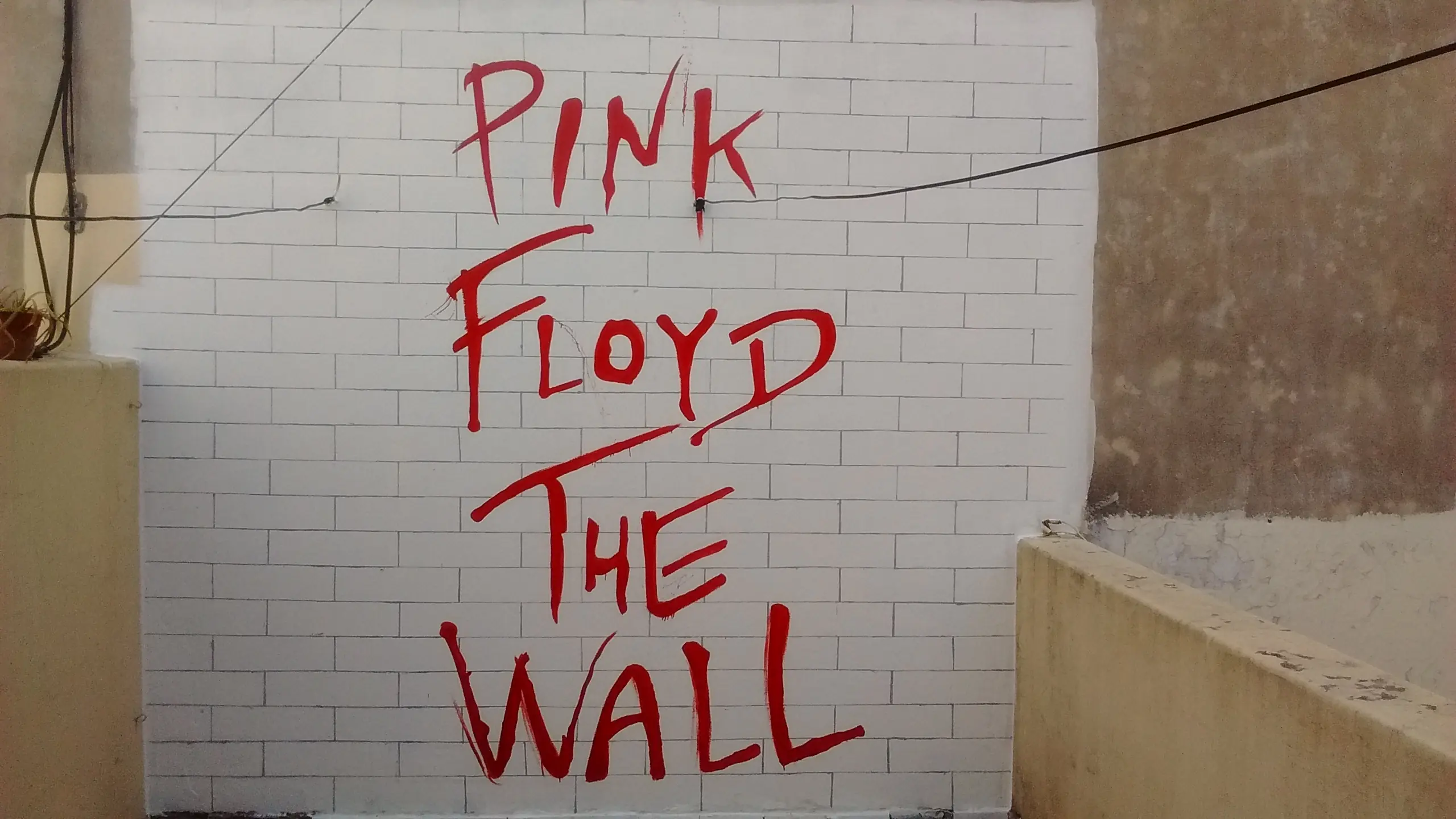 the wall pelicula