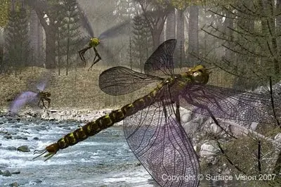 insectos gigantes prehistoricos insectos gigantes prehistoricos